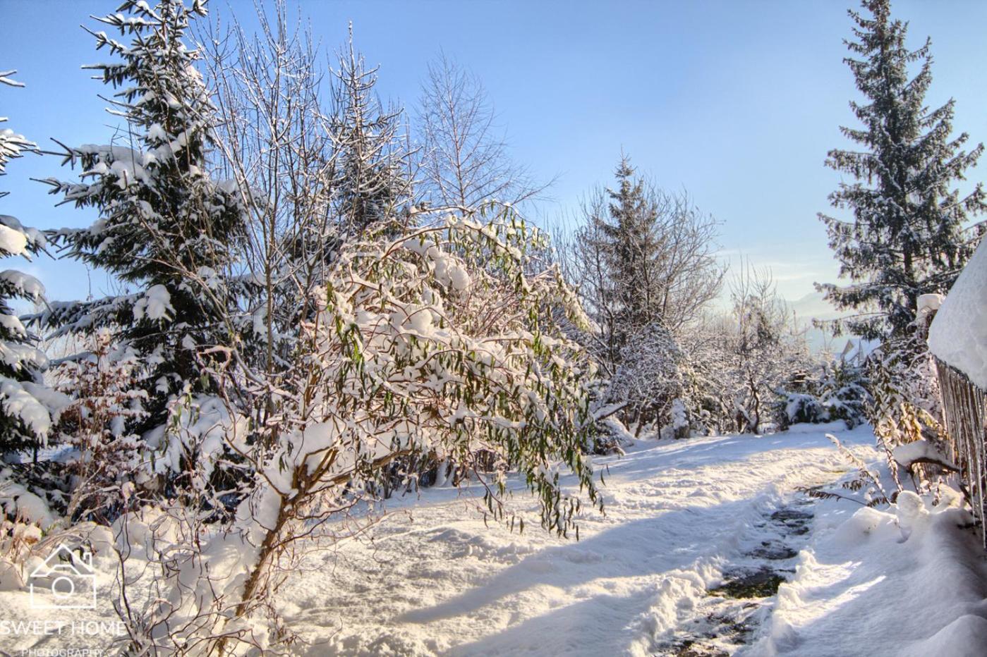 Vila Oaza Tatry III Zakopane Exteriér fotografie